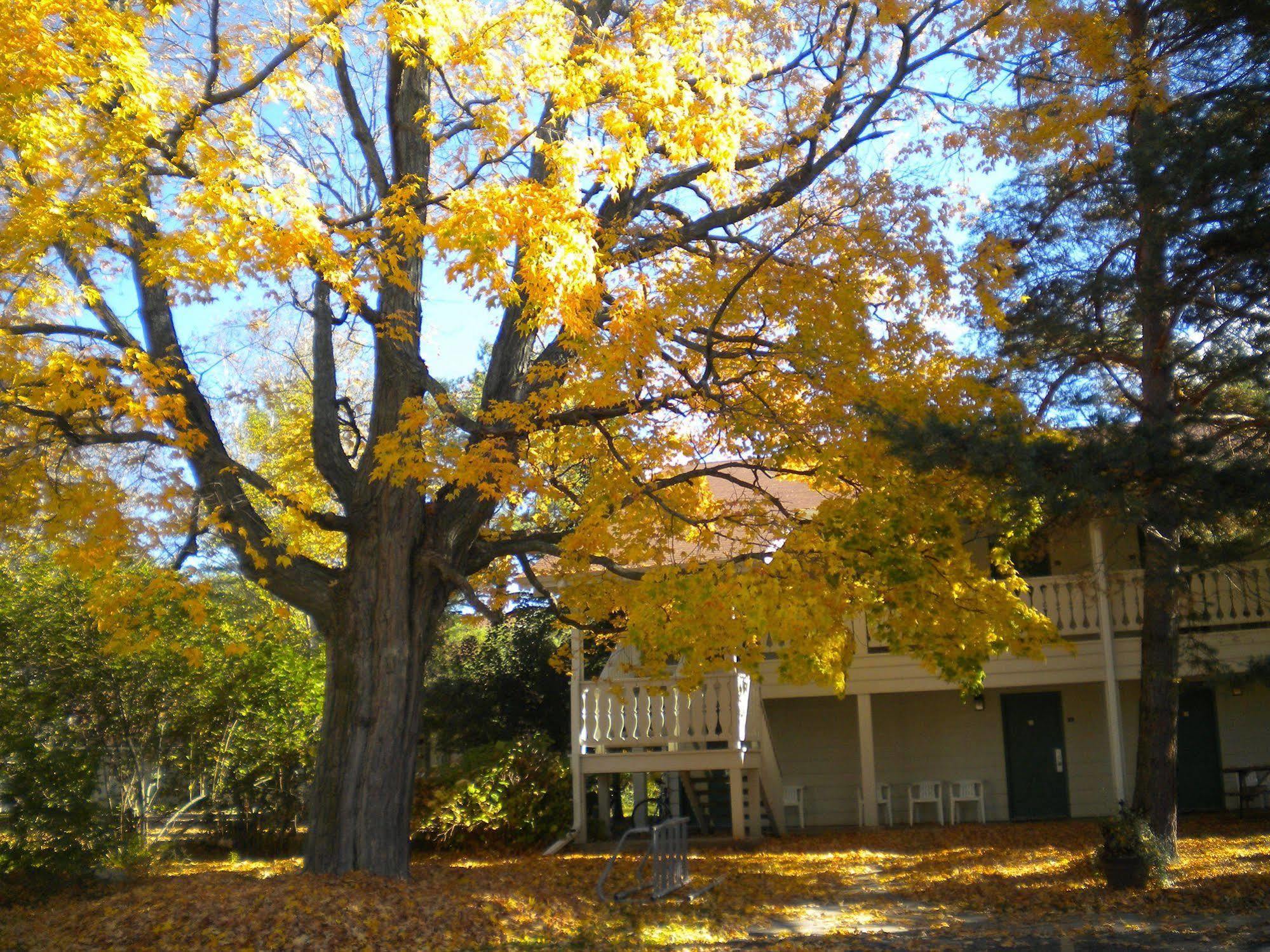 Parkwood Lodge Fish Creek Eksteriør bilde
